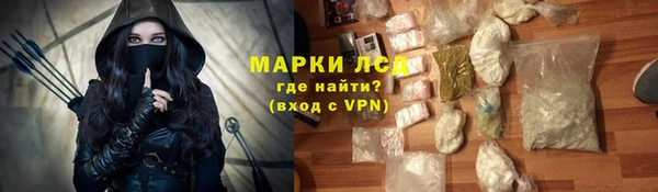 прущие грибы Баксан