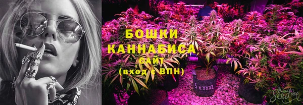 прущие грибы Баксан