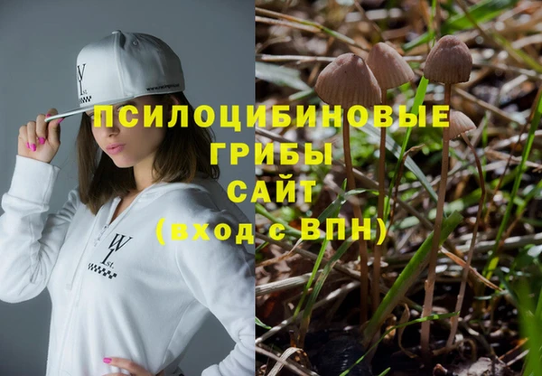 прущие грибы Баксан