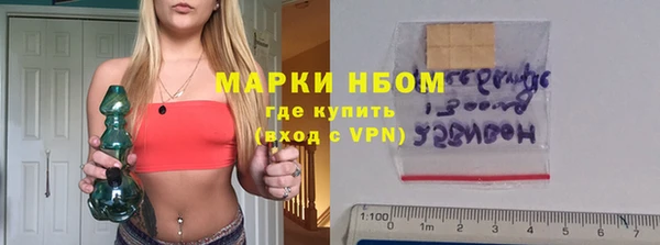 прущие грибы Баксан