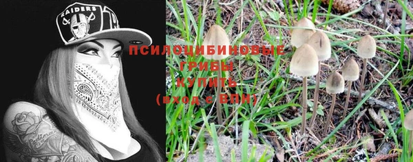 прущие грибы Баксан