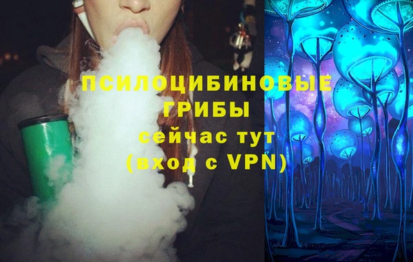 прущие грибы Баксан