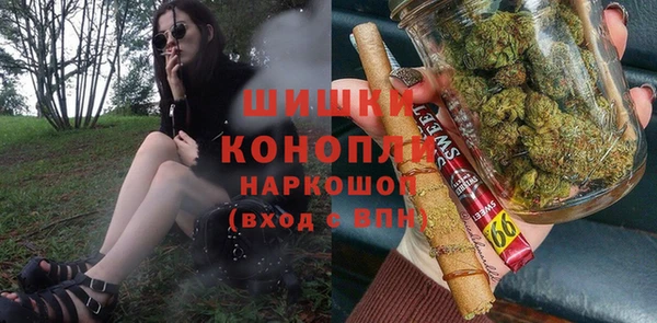 прущие грибы Баксан