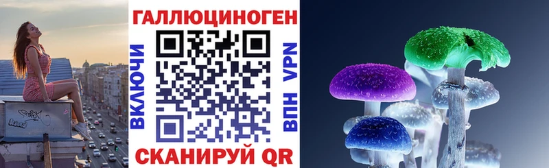 Галлюциногенные грибы Psilocybine cubensis  Нюрба 